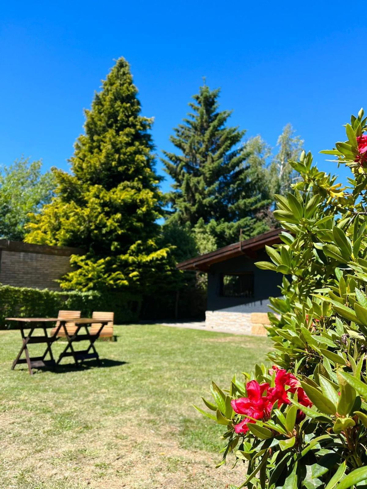 Las Vinas Hostel Boutique San Carlos de Bariloche Kültér fotó